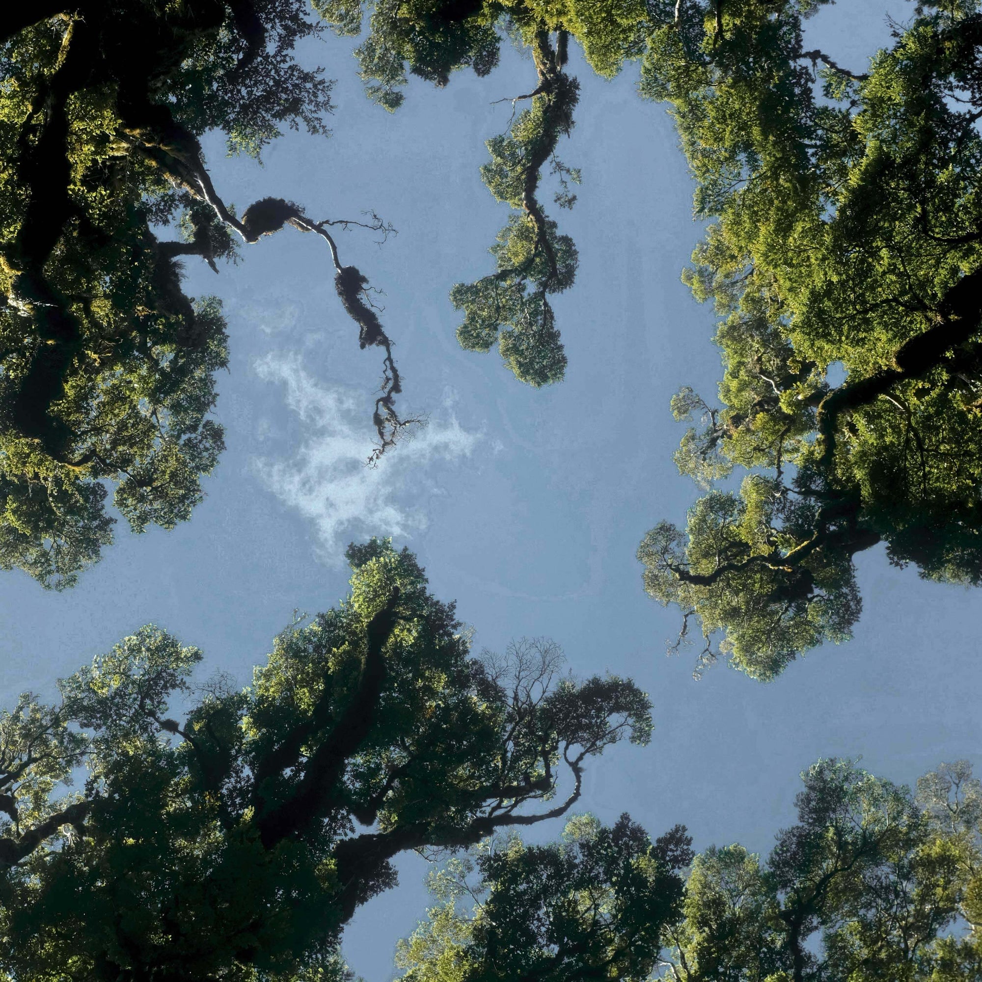 TENCEL™ Modal: The Best Fabric for Baby's Skin (And The Planet, Too)