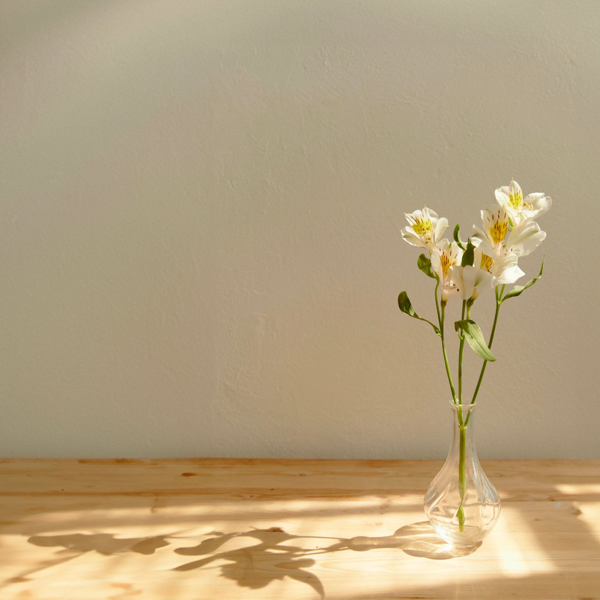 7 Realistic Ways to Celebrate Mother’s Day as a New Mom