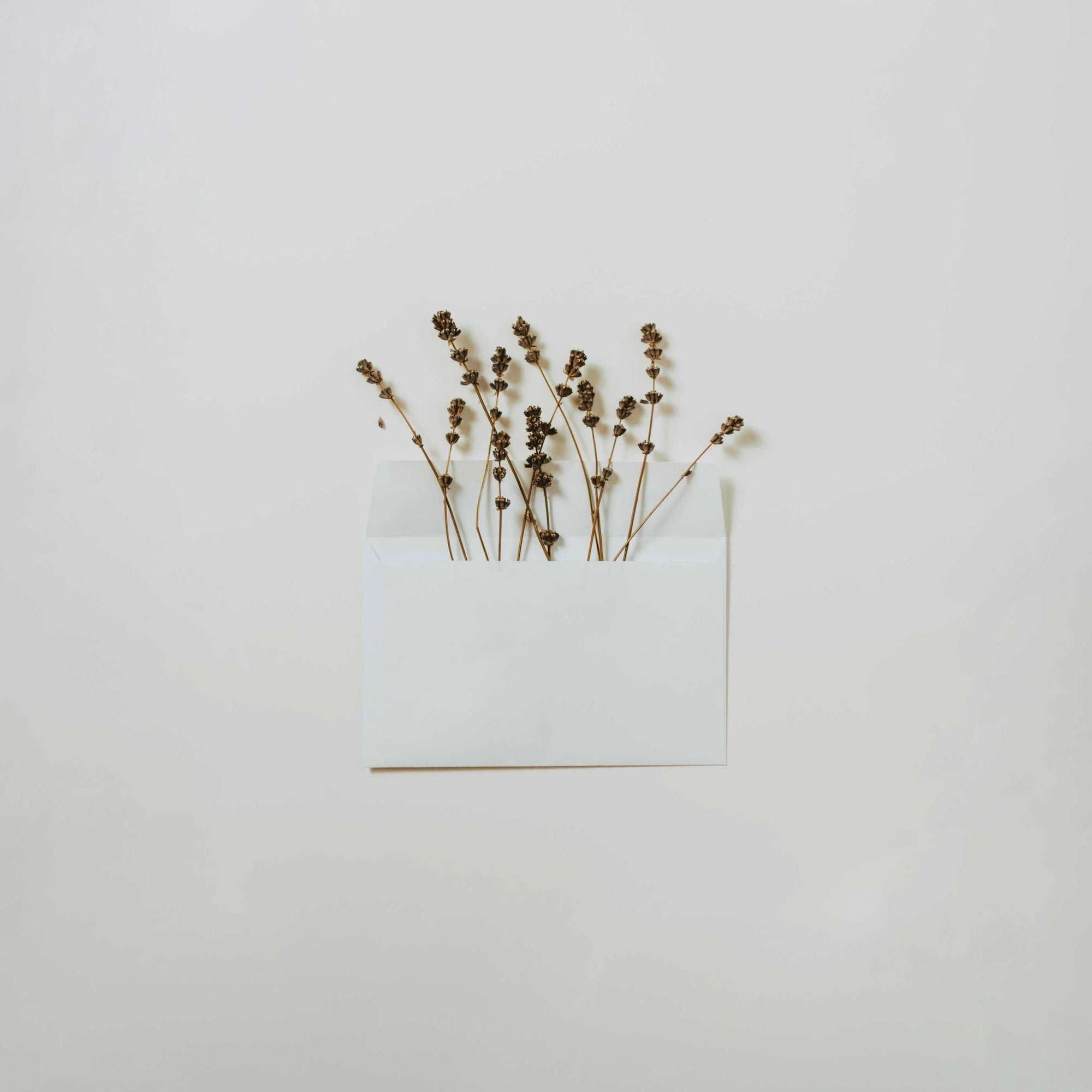 A Love Letter to My Postpartum Body