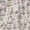 Charcoal Toile