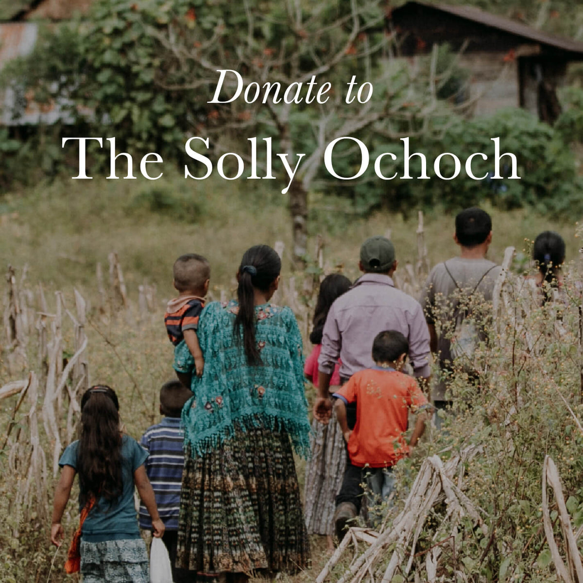 Donate to Solly Ochoch Guatemala